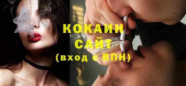 шишки Алексин