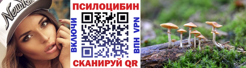 Галлюциногенные грибы прущие грибы  закладки  Москва 